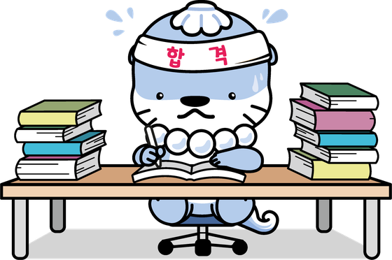 Hamo the otter, studying at a desk.